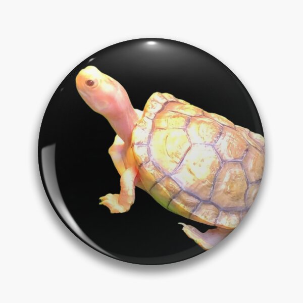 Item preview, tortuga meñique designed and sold by Time4Turtles.