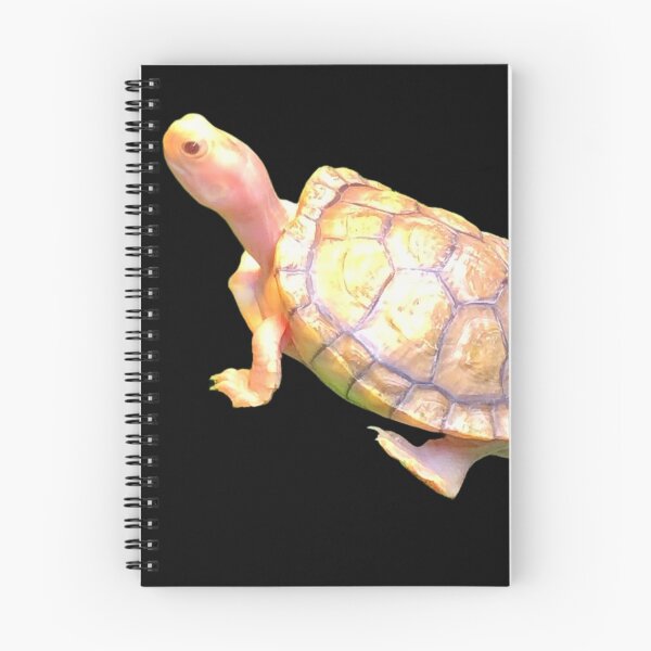Item preview, Pinky turtle  designed and sold by Time4Turtles.