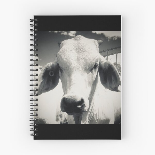 Item preview, Brahman steer designed and sold by Rebeccadalton.