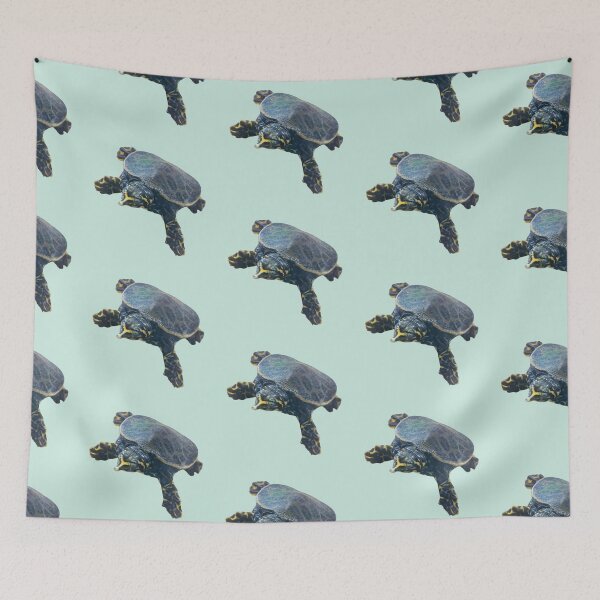 Item preview, Squishy the Florida Softshell designed and sold by Time4Turtles.