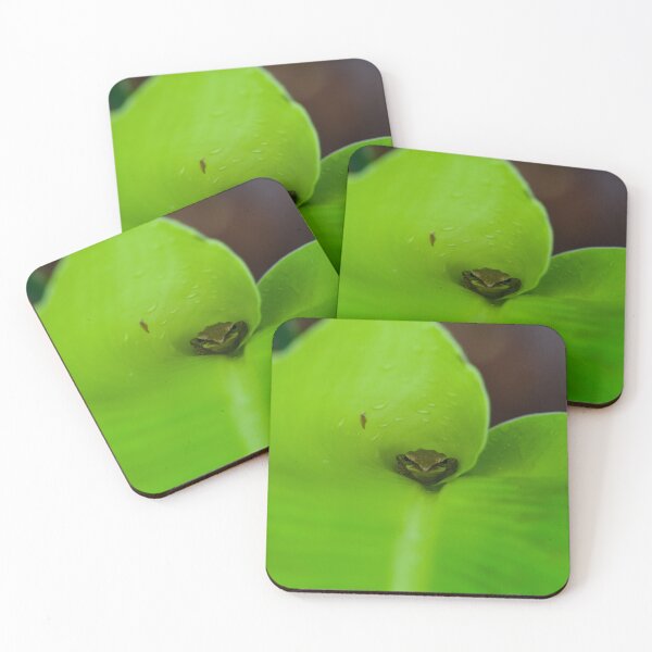 Item preview, Tiny frog hide inside the banana leaf designed and sold by GuruKde.