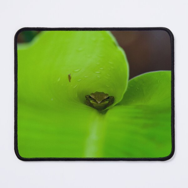 Item preview, Tiny frog hide inside the banana leaf designed and sold by GuruKde.