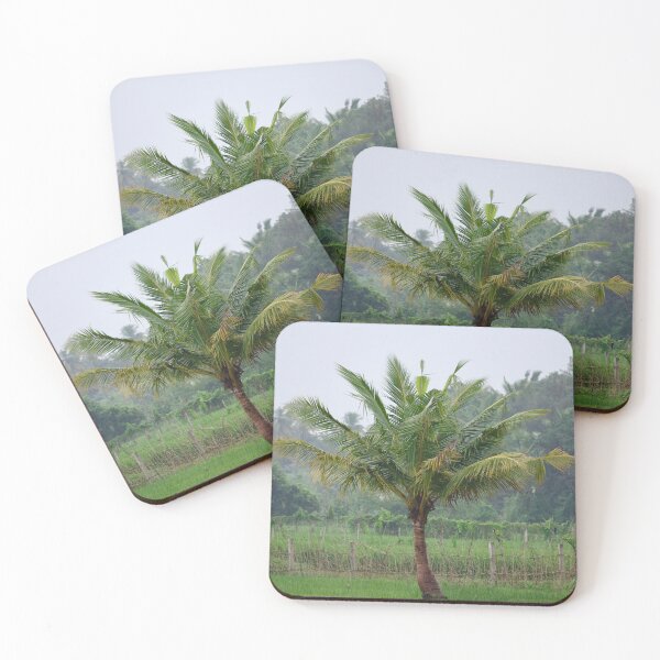 Item preview, Coconut Tree in Village designed and sold by GuruKde.