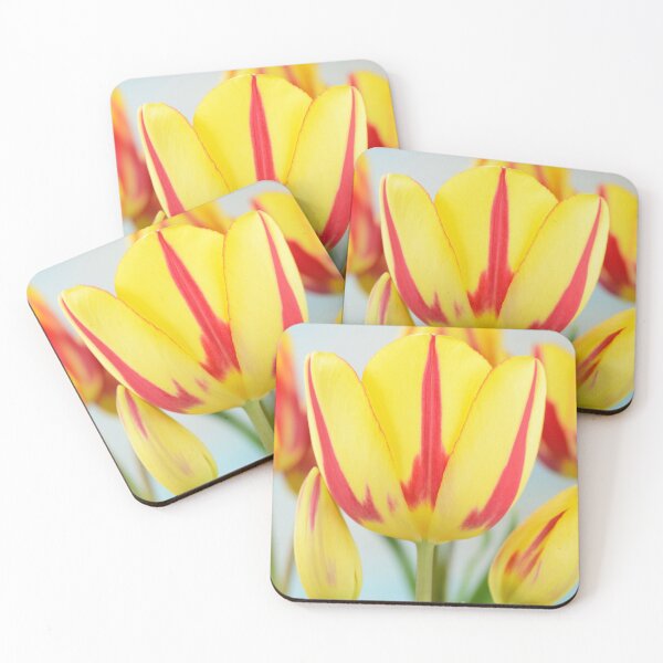 Item preview, Tulipa  'Colour Spectacle'   Single Late Multi-flowered tulip  designed and sold by Chris Burrows.