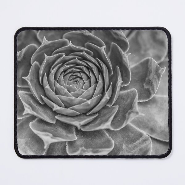 Item preview, Echeveria designed and sold by assaf.