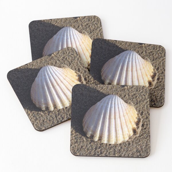 Item preview, shell designed and sold by KathleenDawson.