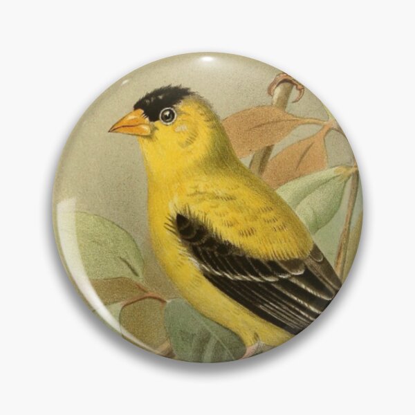 Item preview,  "European Goldfinch" - Cute Victoria Goldfinch  designed and sold by Obinne.