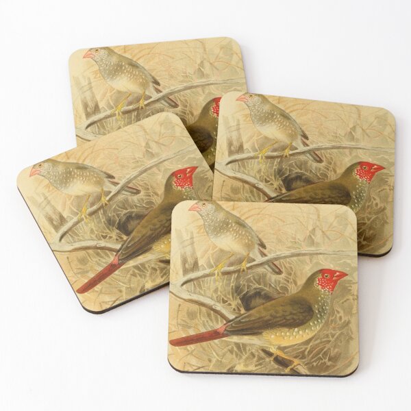 Item preview, "European Goldfinch" - Victoria Goldfinch Lover  designed and sold by Obinne.