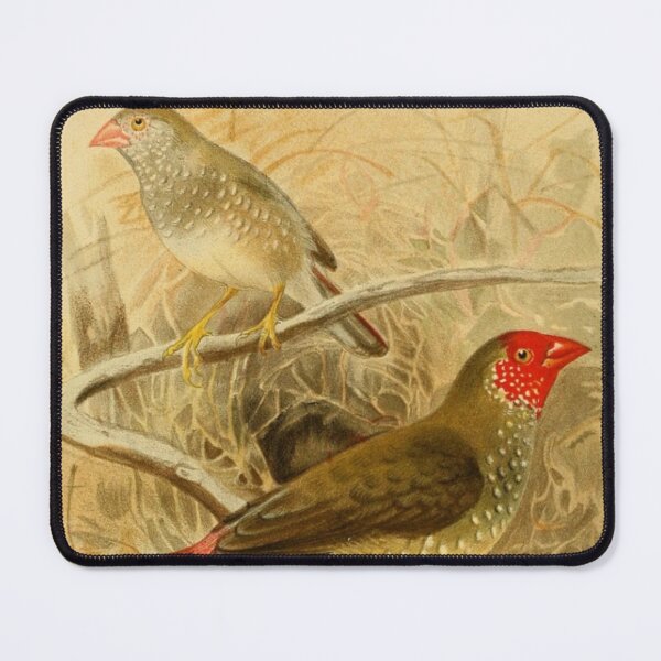Item preview, "European Goldfinch" - Victoria Goldfinch Lover designed and sold by Obinne.