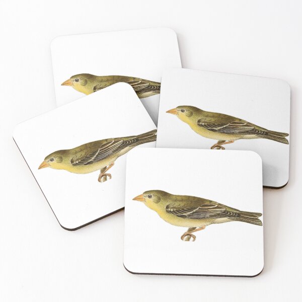 Item preview, "Victoria European Goldfinch" designed and sold by Obinne.