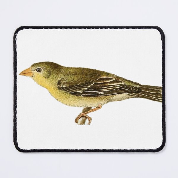 Item preview, "Victoria European Goldfinch" designed and sold by Obinne.