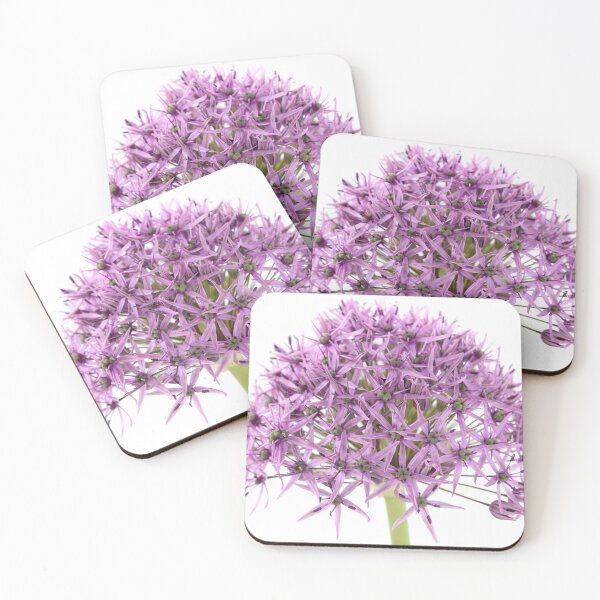Artikelvorschau, Allium stipitatum & Violett Schönheit & # 39; entworfen und verkauft von Chris Burrows.