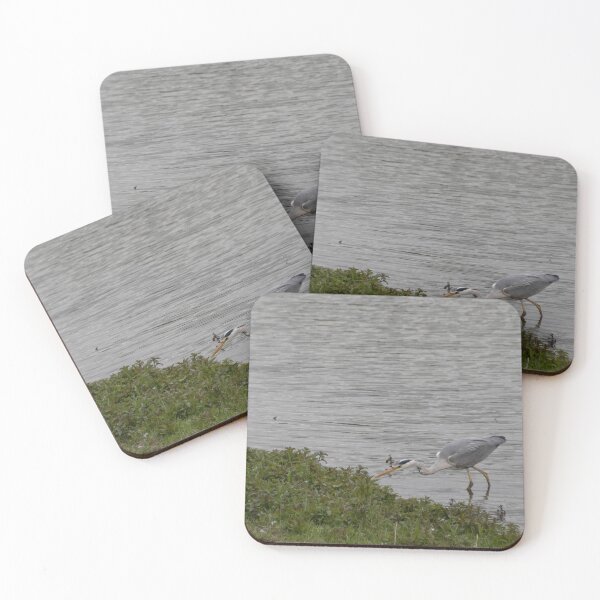 Item preview, Grey Heron designed and sold by Calidris Fotografie Steffi & Ben Köppler.