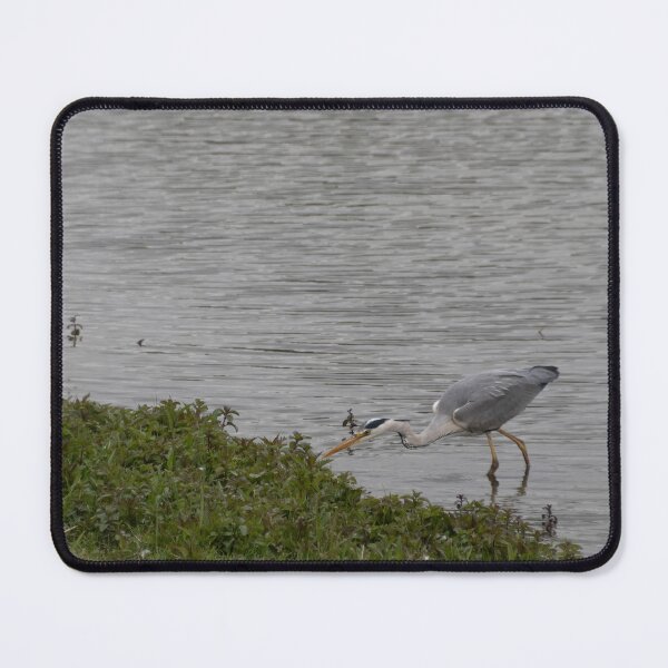 Item preview, Grey Heron designed and sold by Calidris Fotografie Steffi & Ben Köppler.
