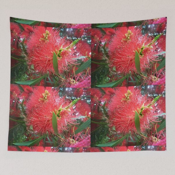 Item preview, *Bottlebrush tree along driveway - Vic. Australia* designed and sold by EdsMum.