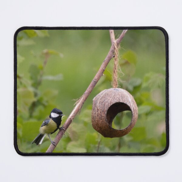 Item preview, Great Tit designed and sold by Calidris Fotografie Steffi & Ben Köppler.