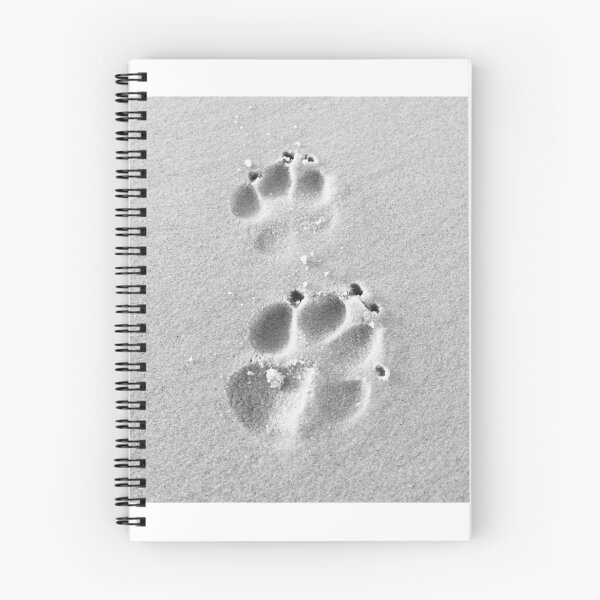 Item preview, Dogs paw prints in the sand designed and sold by Rebeccadalton.