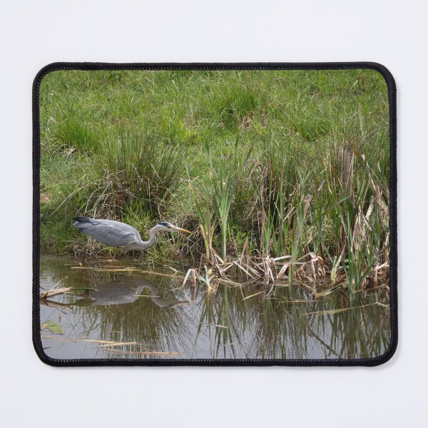 Item preview, Great Heron designed and sold by Calidris Fotografie Steffi & Ben Köppler.