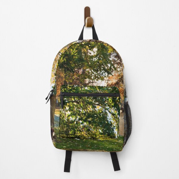 Item preview, Bourton on the Water Autumn Trees Cotswolds designed and sold by AndyEvansPhotos.