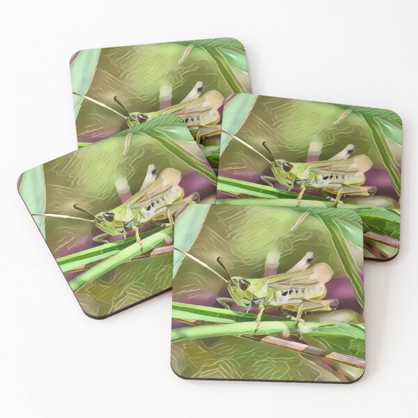Item preview, Grasshopper Balance In Gemstone designed and sold by Fearless-Fox.