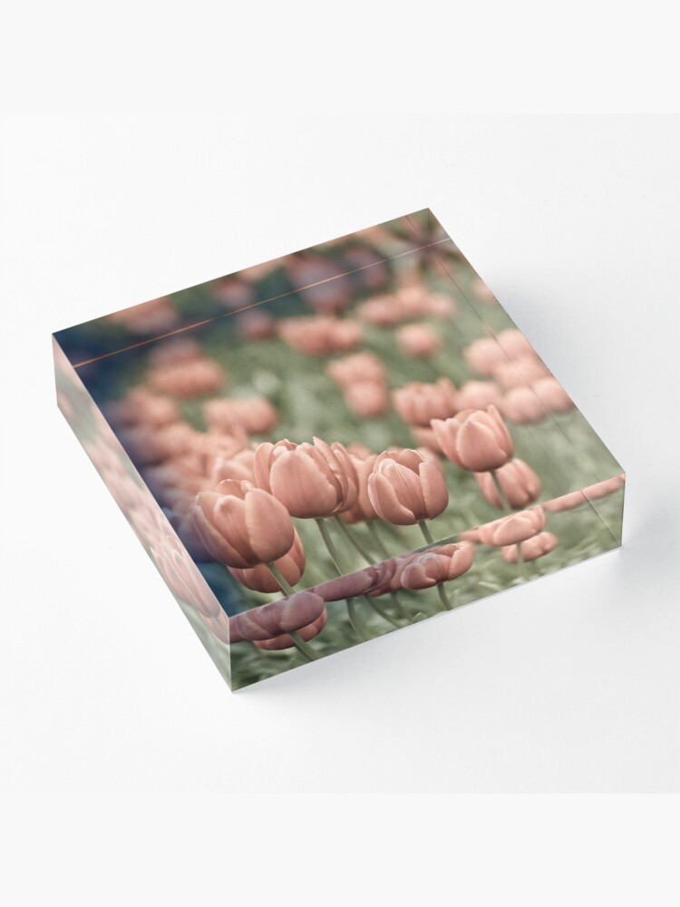 Alternate view of Tulip Field Acrylic Block