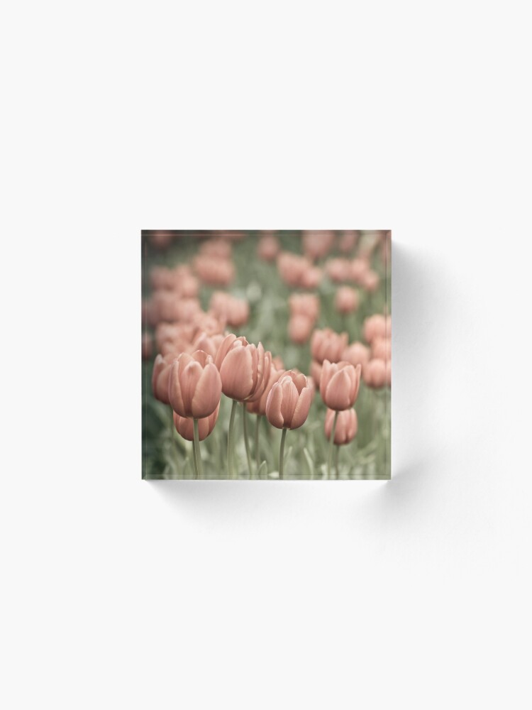 Alternate view of Tulip Field Acrylic Block