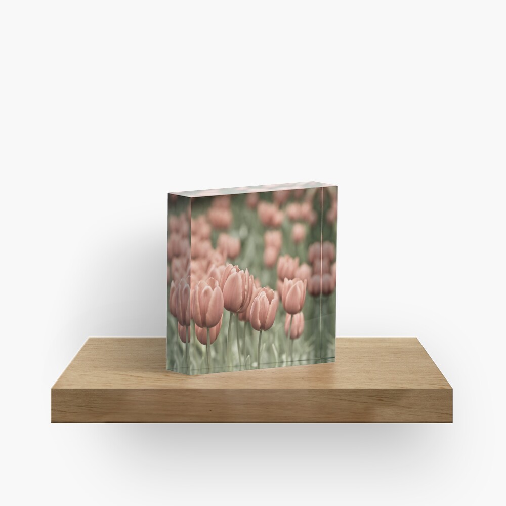 Tulip Field Acrylic Block