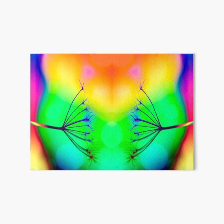 Rainbow Queen Anne Lace Art Board Print