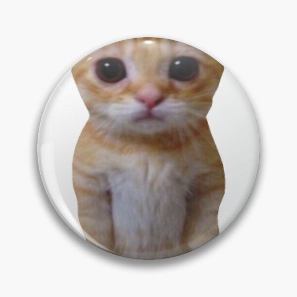 Item preview, funny cat el gato cute orange cat meme from tik tok designed and sold by UchihaIndustry.