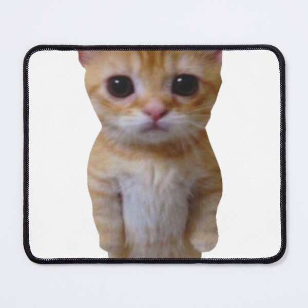 Item preview, funny cat el gato cute orange cat meme from tik tok designed and sold by UchihaIndustry.