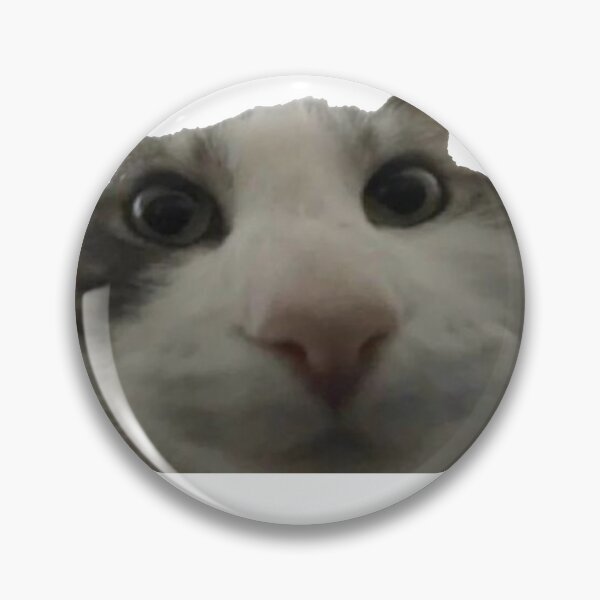 Item preview, funny cat meme close up tik tok designed and sold by UchihaIndustry.