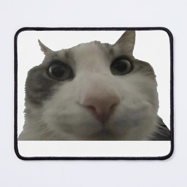 Item preview, funny cat meme close up tik tok designed and sold by UchihaIndustry.