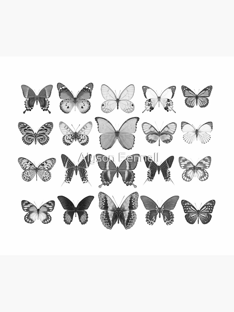 Mono Butterfly Collection by AlysonFennell