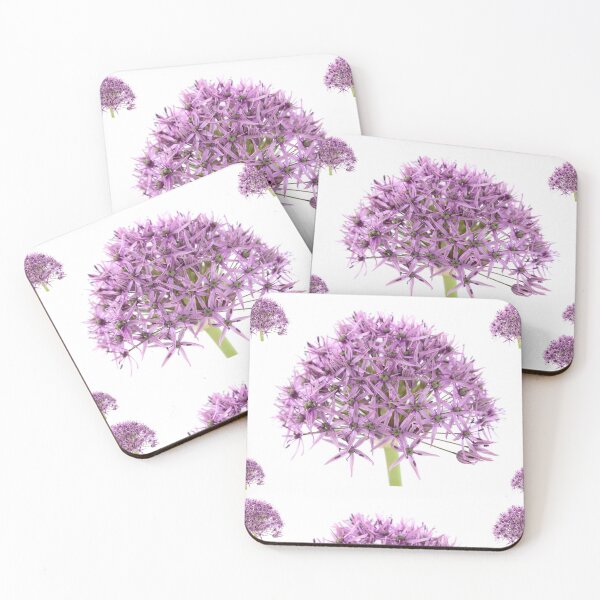 Artikelvorschau, Allium stipitatum & Violett Schönheit & # 39; entworfen und verkauft von Chris Burrows.