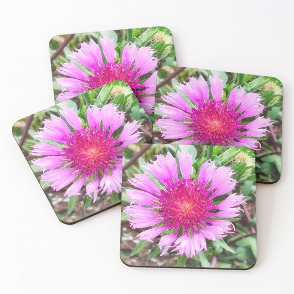 Item preview, Pink Knapweed Blossom  designed and sold by Marco Sales.