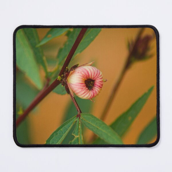 Item preview, blla in bloom fruiting designed and sold by pcfyi.