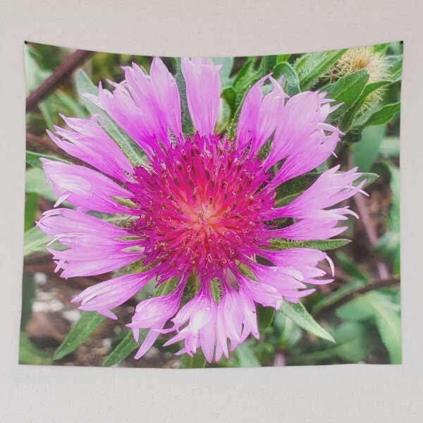 Item preview, Pink Knapweed Blossom  designed and sold by Marco Sales.