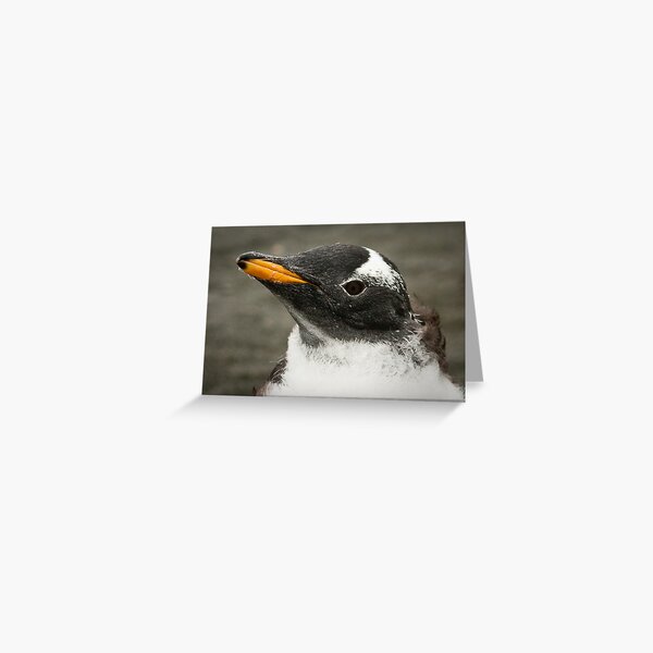 Item preview, Gentoo! designed and sold by Phill Danze.
