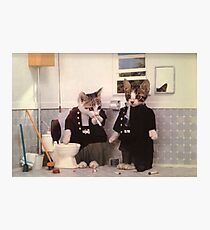 Smoking Kittens Photographic Print