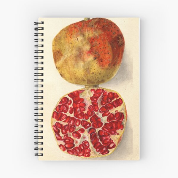Item preview, Vintage Illustration of a Pomegranate designed and sold by BravuraMedia.