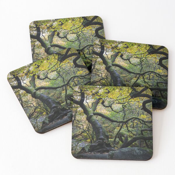 Item preview, Cool Twisted Oak Tree, England designed and sold by Imladris01.