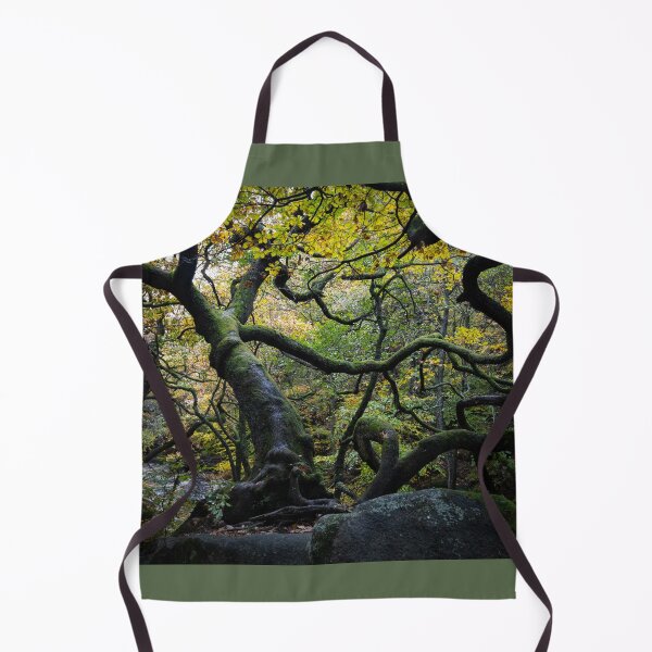 Item preview, Cool Twisted Oak Tree, England designed and sold by Imladris01.