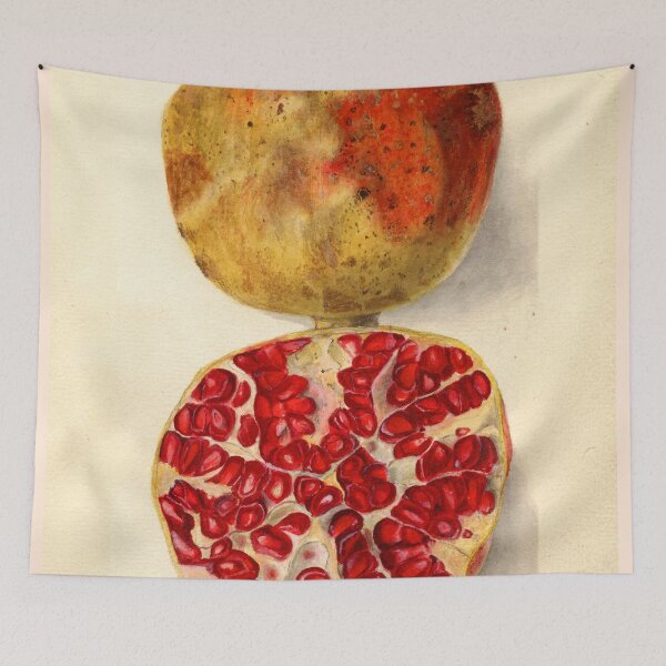 Item preview, Vintage Illustration of a Pomegranate designed and sold by BravuraMedia.