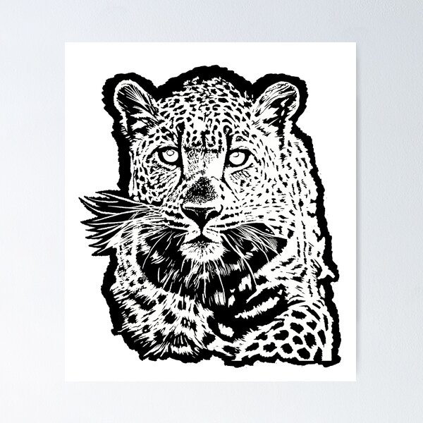 Black White Tiger Posters for Sale | Redbubble