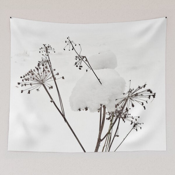 Item preview, Dressed in white. Cow parsley designed and sold by Jouko Lehto Photography.