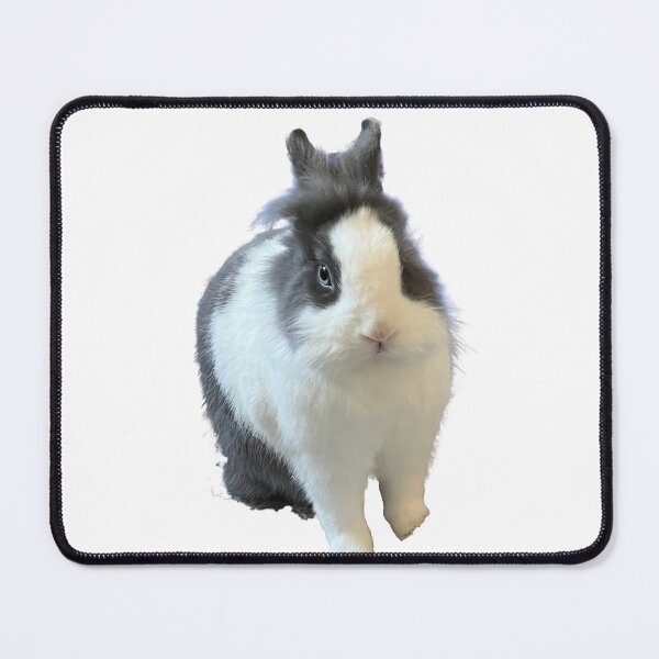 Item preview, Bunny  designed and sold by BunniesRDP.