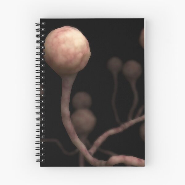 Item preview, STK701643H-The fungal infection mucormycosis. designed and sold by StocktrekImages.