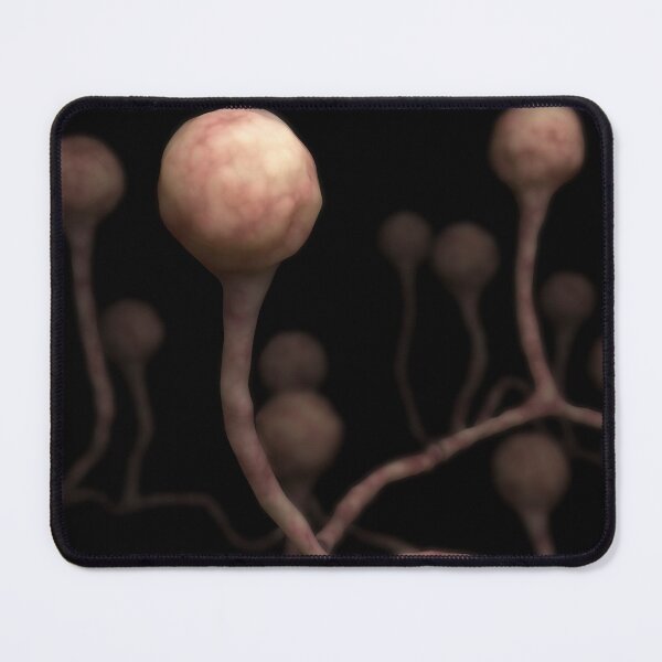 Item preview, STK701643H-The fungal infection mucormycosis. designed and sold by StocktrekImages.