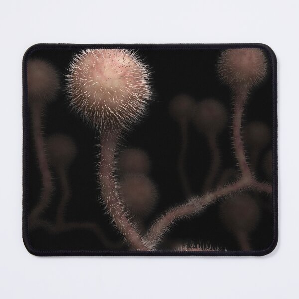 Item preview, STK701644H-The fungal infection mucormycosis. designed and sold by StocktrekImages.