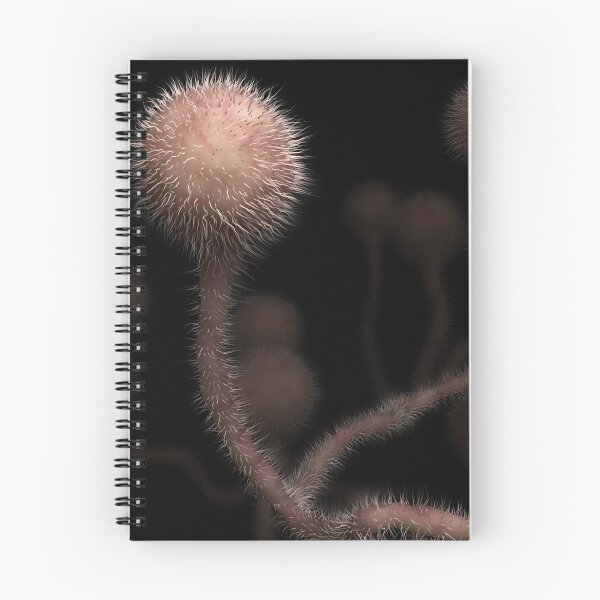 Item preview, STK701644H-The fungal infection mucormycosis. designed and sold by StocktrekImages.